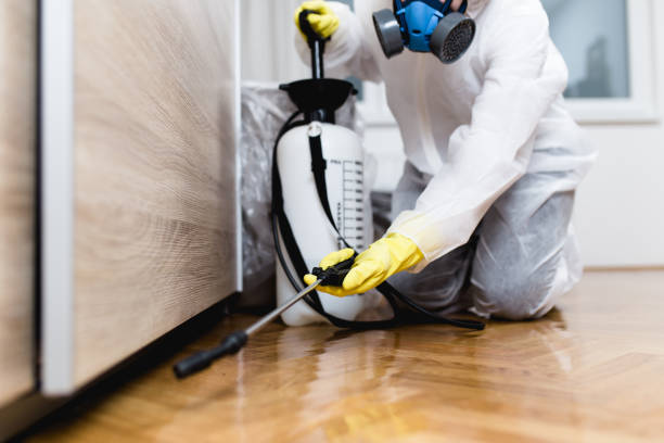 Best Residential Pest Control  in Galveston, TX