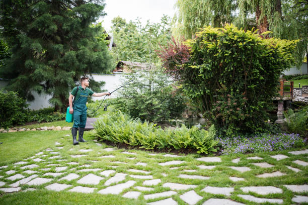 Best Best Pest Control Companies  in Galveston, TX